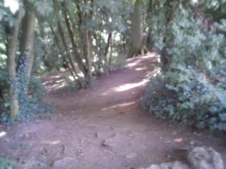 le sentier